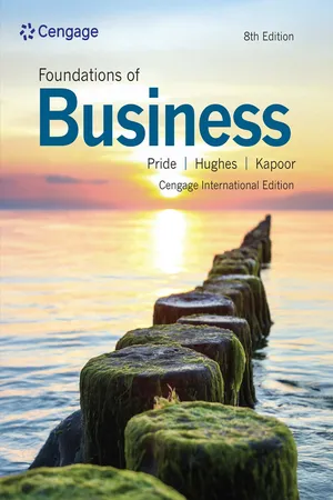 Foundations of Business, Cengage International Edition