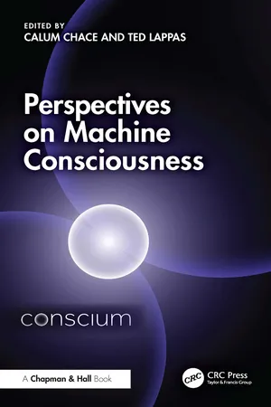 Perspectives on Machine Consciousness