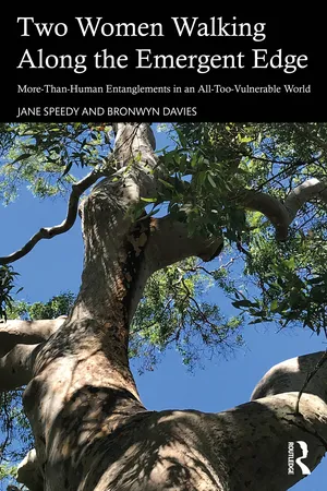 Two Women Walking Along the Emergent Edge