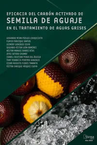 Eficacia del carbón activado de semilla de aguaje en el tratamiento de aguas grises_cover