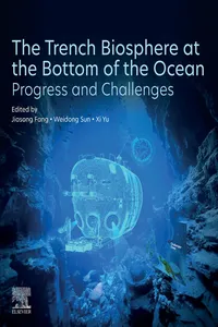 The Trench Biosphere at the Bottom of the Ocean