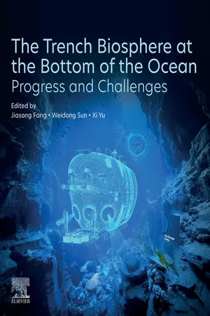 The Trench Biosphere at the Bottom of the Ocean
