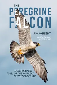 The Peregrine Falcon_cover