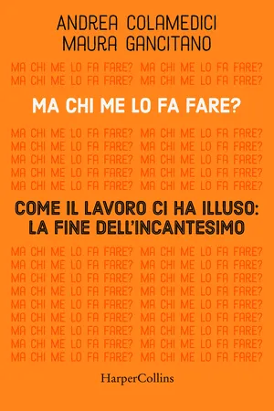 Ma chi me lo fa fare?