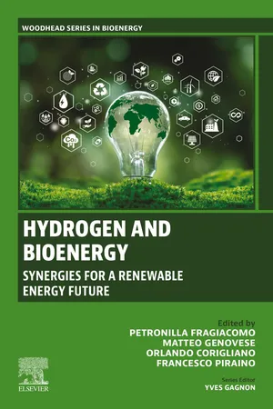 Hydrogen and Bioenergy