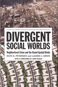 Divergent Social Worlds_cover