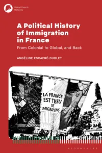 A Political History of Immigration in France