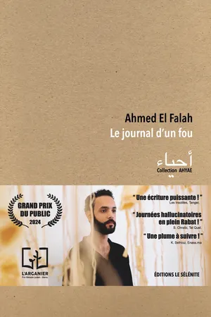 Le journal d'un fou