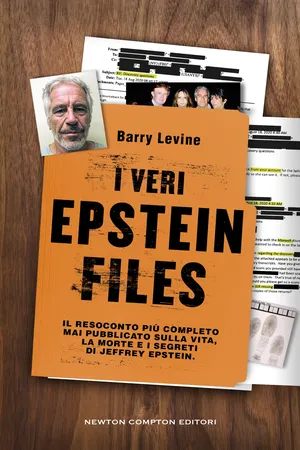 I veri Epstein Files