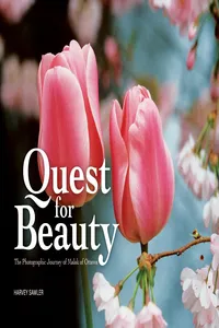 Quest for Beauty_cover