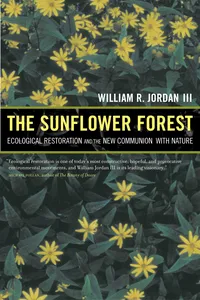 The Sunflower Forest_cover