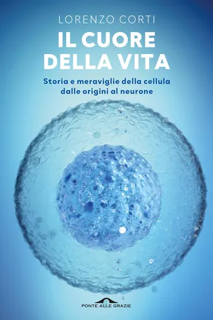 Il cuore della vita