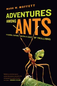 Adventures among Ants_cover