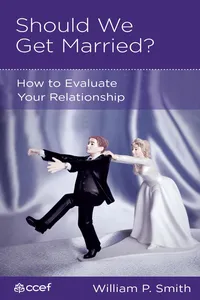 Should We Get Married?_cover