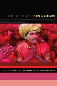 The Life of Hinduism_cover