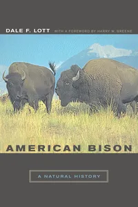 American Bison_cover