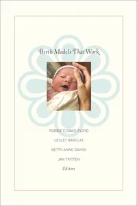 Birth Models That Work_cover