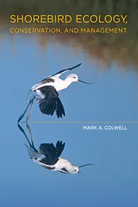 Shorebird Ecology, Conservation, and Management_cover