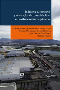 Industria automotriz y estrategias de consolidación: un análisis multidisciplinario_cover