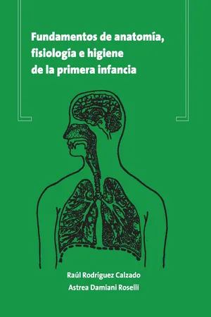 Fundamentos de anatomía, fisiología e higiene de la primera infancia