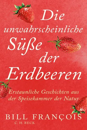 Die unwahrscheinliche Süße der Erdbeeren