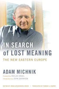 In Search of Lost Meaning_cover