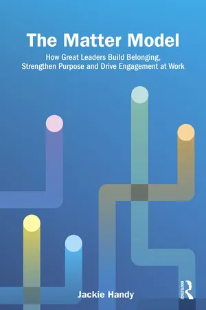 The Matter Model