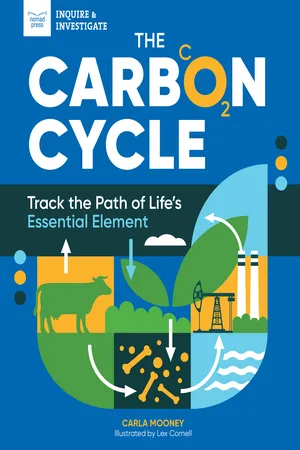 The Carbon Cycle