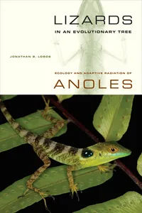 Lizards in an Evolutionary Tree_cover