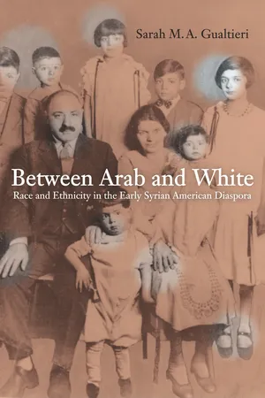 Between Arab and White