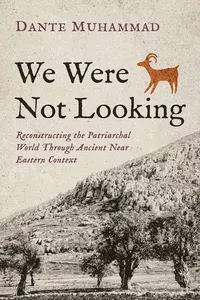 We Were Not Looking_cover