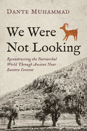 We Were Not Looking