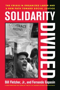 Solidarity Divided_cover