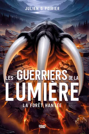 Les Guerriers de la Lumière