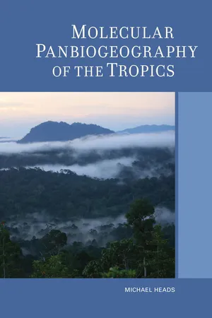 Book cover image for: Molecular Panbiogeography of the Tropics