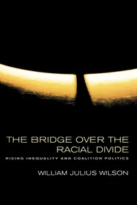 The Bridge over the Racial Divide_cover