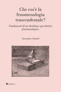 Che cos’è la fenomenologia trascendentale?_cover