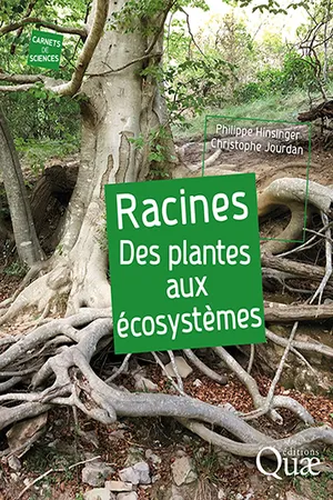 Racines