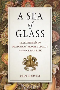 A Sea of Glass_cover