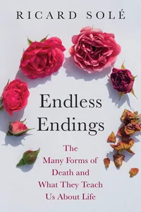 Endless Endings_cover