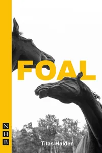 Foal_cover