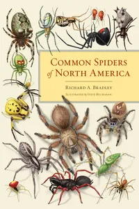 Common Spiders of North America_cover