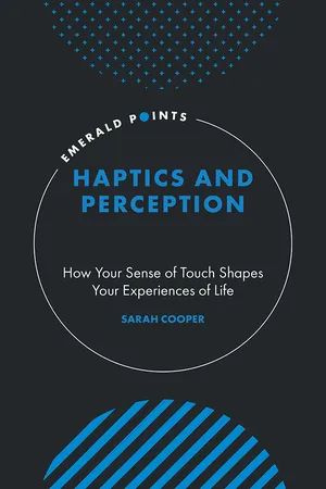 Haptics and Perception