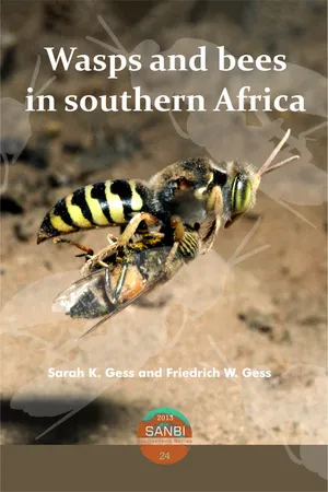 Wasps and bees in southern Africa