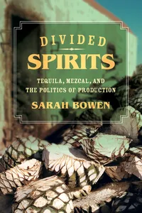 Divided Spirits_cover