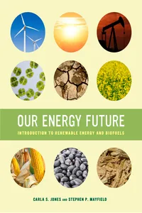 Our Energy Future_cover