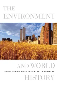 The Environment and World History_cover