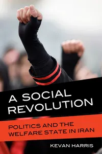 A Social Revolution_cover