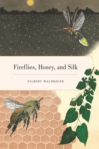Fireflies, Honey, and Silk_cover