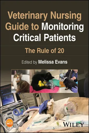 Veterinary Nursing Guide to Monitoring Critical Patients
